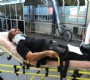 Otobüsten indi motor çarptı