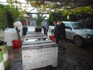 Darıca'da Şarap operasyonu!
