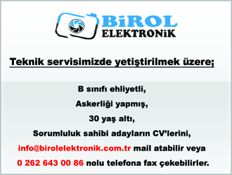 birol elektronik eleman internet ilanı